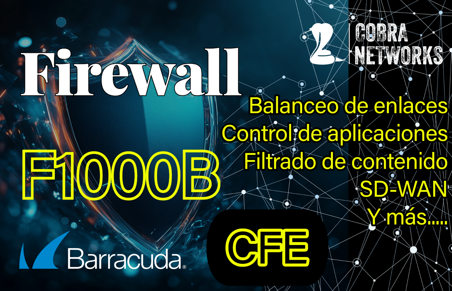 Barracuda CloudGen Firewall F1000B.CFE con 1 Year EU+IR