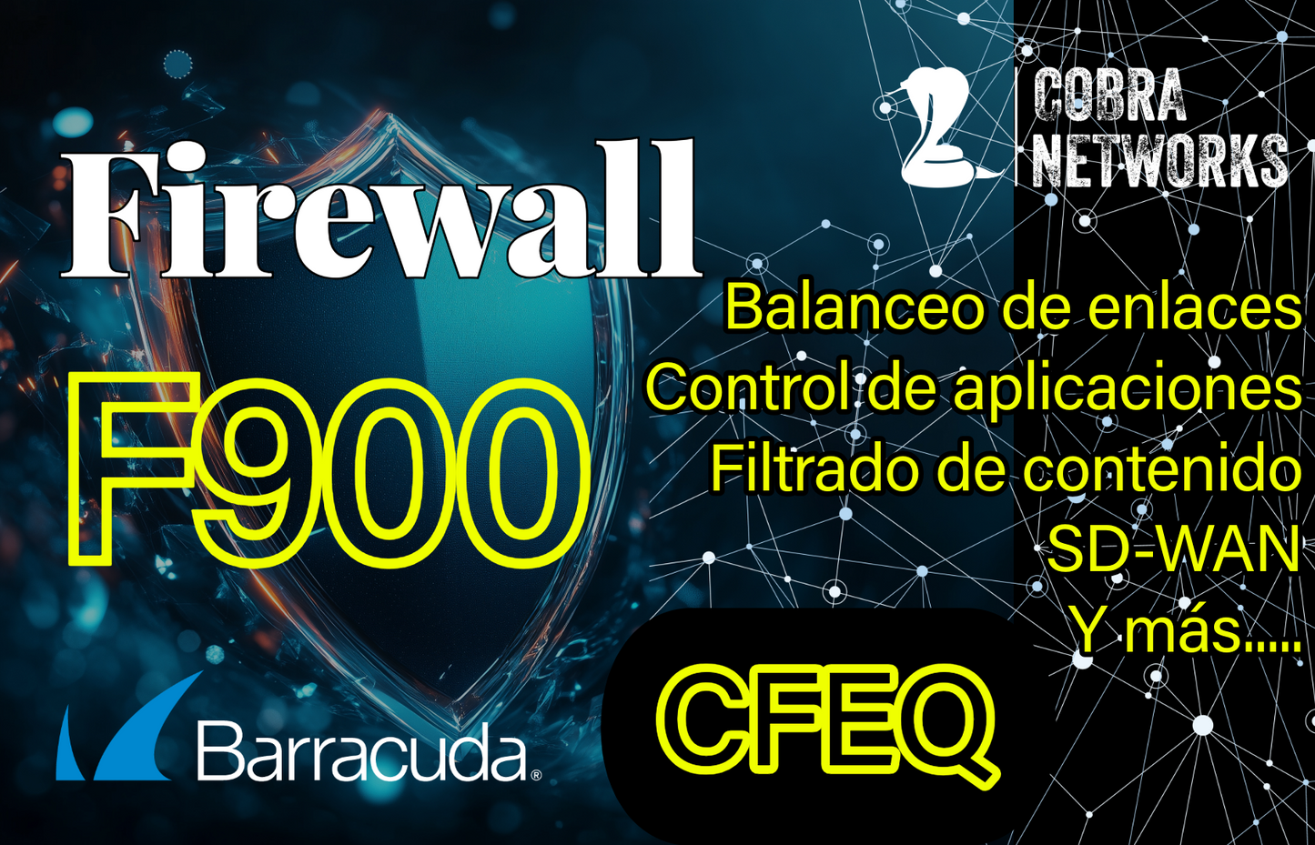 Barracuda CloudGen Firewall F900.CFEQ con 1 Year EU+IR
