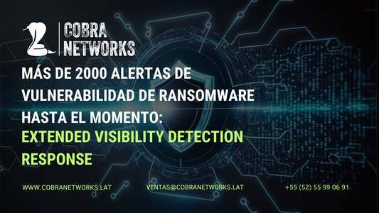 Mas de 2000 alertas de vulnerabilidad de Ransomware hasta el momento: ¿Podrías ser tú el próximo en caer?