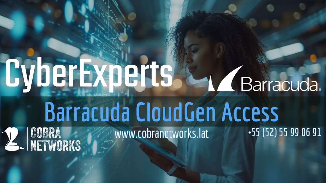 Acceso remoto y seguro Barracuda CloudGen Access