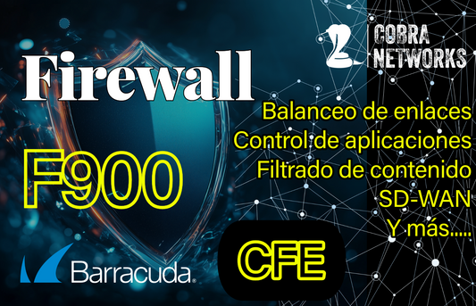 Barracuda CloudGen Firewall F900.CFE con 1 Year EU+IR