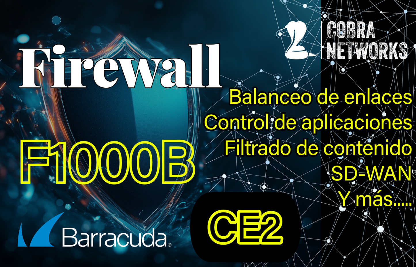 Barracuda CloudGen Firewall F1000B.CE2 con 1 Year EU+IR