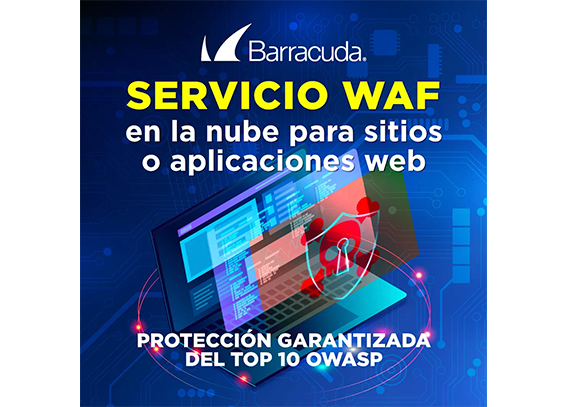 Servicio anual en la nube de WAF para una aplicación o sitio web